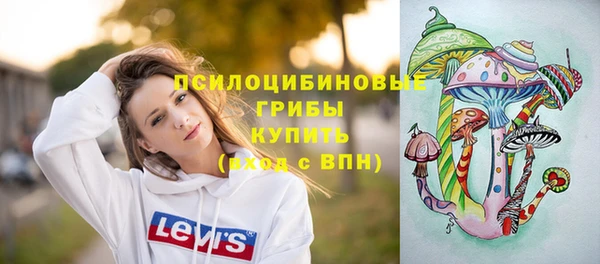 соль курить ск Алзамай